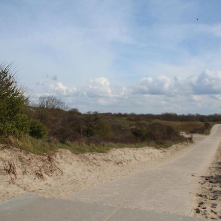 Bondi Beach Renesse Luaran gambar