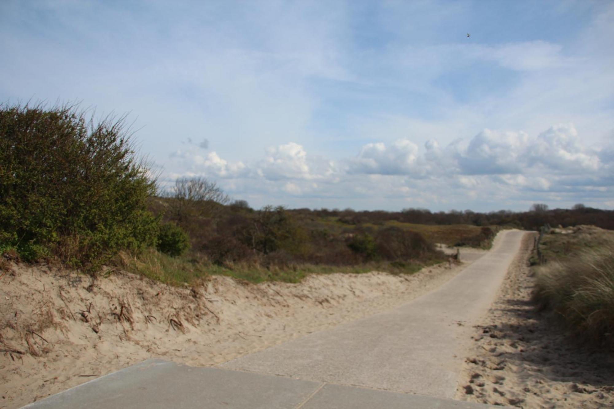 Bondi Beach Renesse Luaran gambar