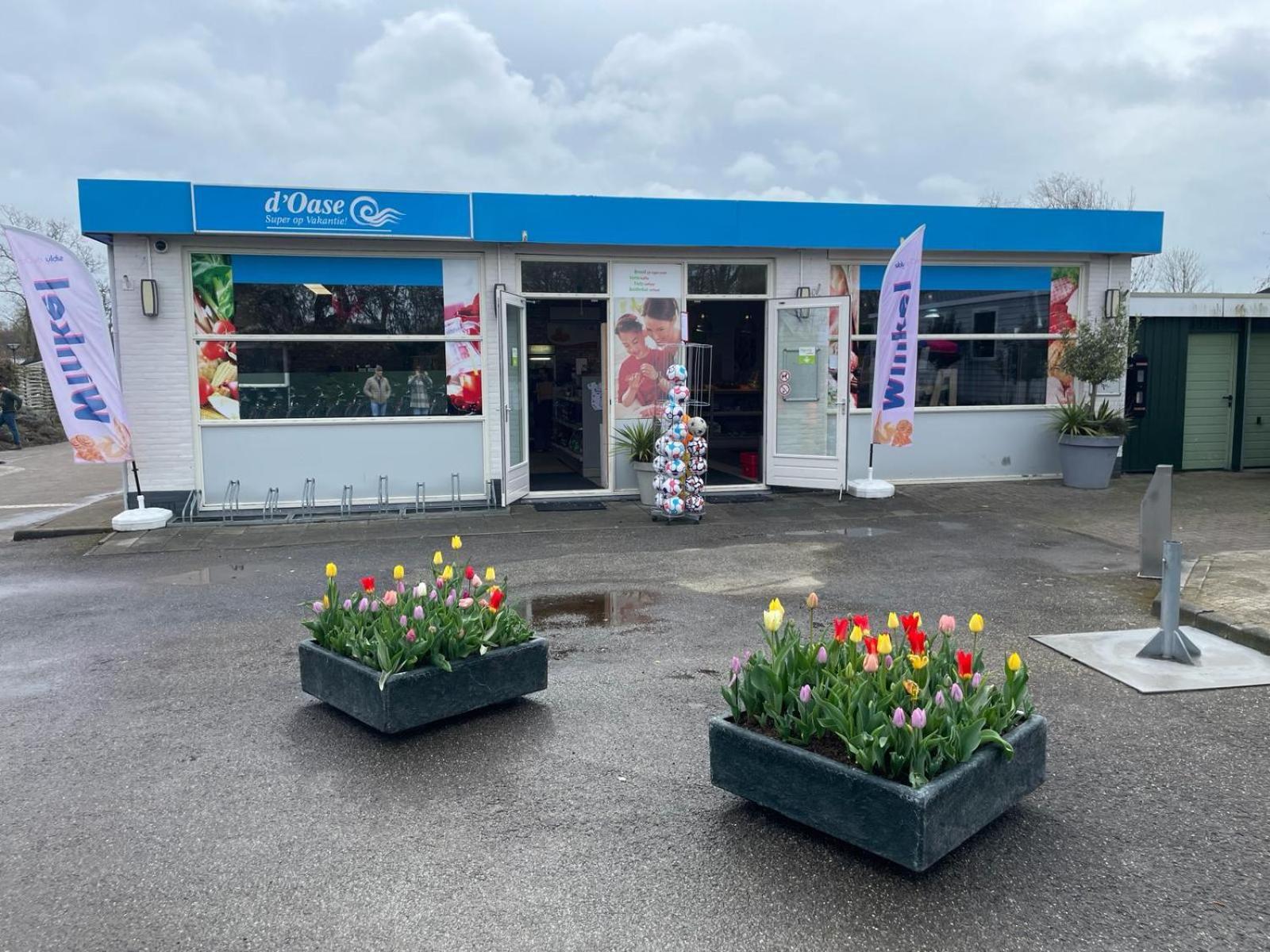 Bondi Beach Renesse Luaran gambar